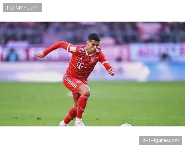 坎塞洛防守争议引热议，专家解析裁判判罚成焦点