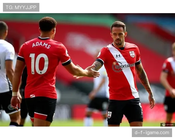 南安普顿新援加盟助力，备战英超新赛季展现竞争力提升势头